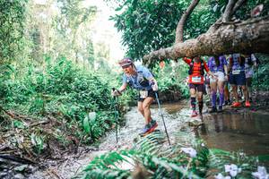 BIB: 
                            <button type="button" onclick="openModal(25474852)" class="btn btn-primary btn-sm float-right btn-popup" data-toggle="modal" data-target=".modal-high-quality">
                        <i class="fas fa-shopping-cart"></i> Add to Cart
                    </button>
                                            <button type="button" onclick="isThisMe(25474852, true)" class="btn btn-success btn-sm float-right btn-popup btn-isme hidden" data-toggle="tooltip" data-placement="bottom" title="นี่คือรูปของคุณใช่ไหม คลิกที่นี่เพื่อเอาเข้าอัลบั้ม">
                        <i class="fas fa-plus"></i> Add to album
                    </button>
                    <button type="button" onclick="isThisMe(25474852, false)" class="btn btn-warning btn-sm float-right btn-popup btn-isnotme hidden">
                        <i class="fas fa-ban"></i> Remove from album
                    </button>